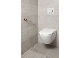 SecuCare Wandbeugel 45cm RVS gepolijst Ø25