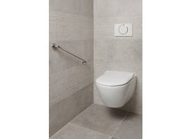 SecuCare Wandbeugel 60cm RVS gepolijst Ø25