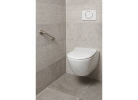SecuCare Wandbeugel 30cm RVS geborsteld Ø25