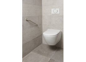 SecuCare Wandbeugel 45cm RVS geborsteld Ø25