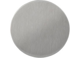 RVS geborsteld blind rozet ø53x2mm gatdeel 4mm, verdekt