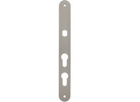 Smalschild RVS afgerond  m.Q gat PC60/PC108 255x32x2mm voor vaste knop met 2 bevestigingsgaten 4mm