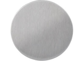 Rozet Blind Ø55x2mm met 2 draadbussen h.o.h. 38mm en 12mm lang.